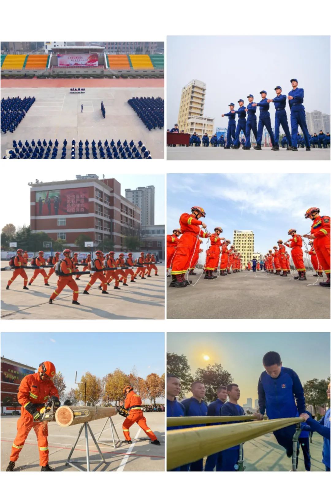 -河南建业队员战术娴熟，技战术出众的简单介绍