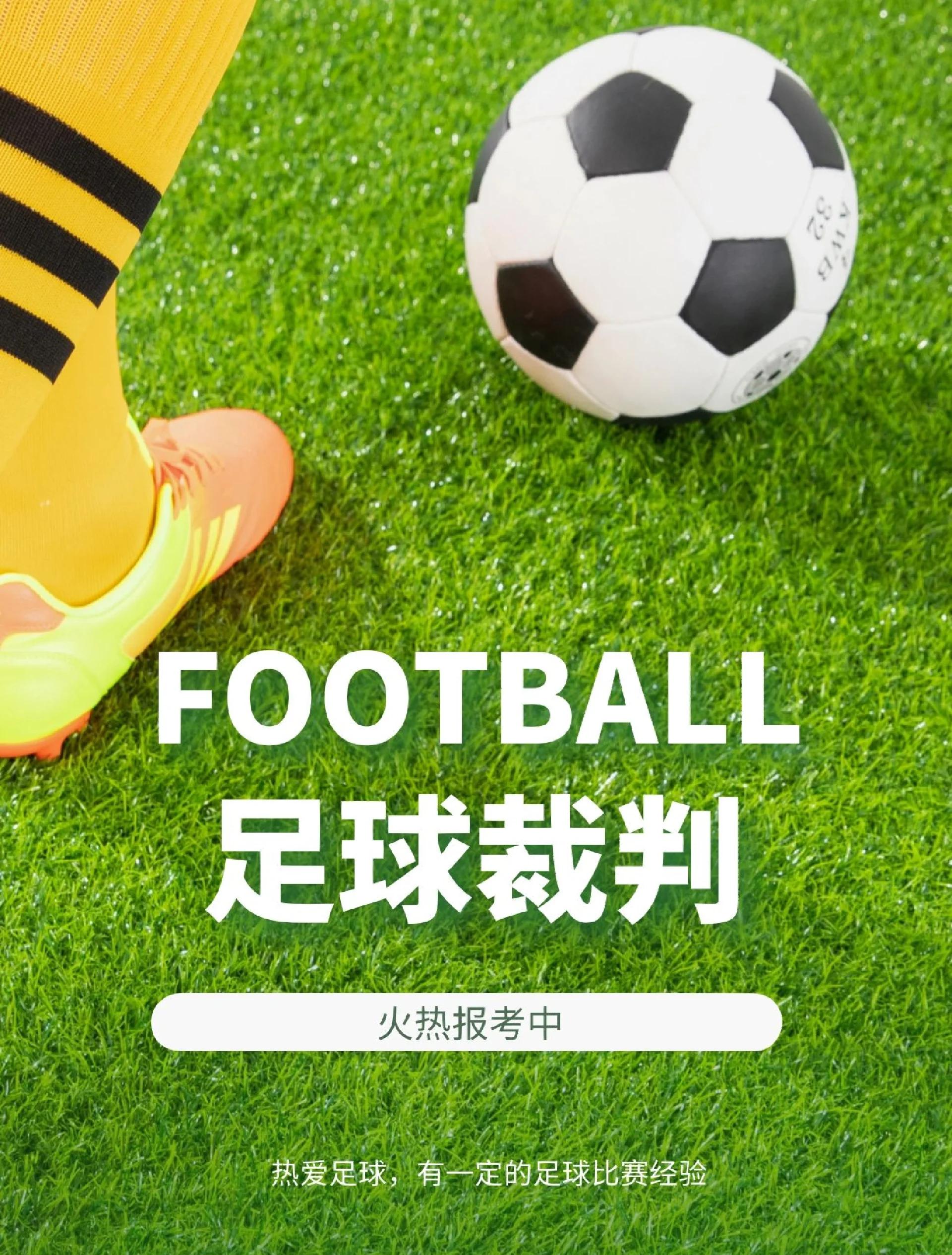 澳客网彩票网官网网-关于争议裁判成为焦点，足球界呼吁提高职业素养的信息
